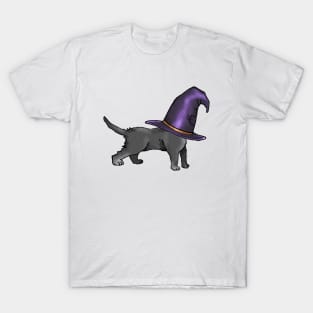 The Witches Kitten (3) T-Shirt